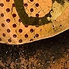 "Orange Pop" Container 
Detail Image