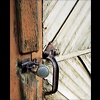Locked Out