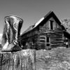 Sip From The Past