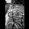 Boulder Bikes