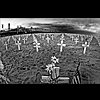 Santa Monica Crosses