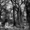 Cemetery_01