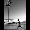 Sunday Stroll