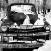 Lost_Truck