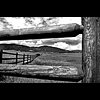 Fence Frame