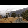 Rocky Mountain National Park 03