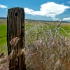 Country