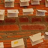 Stardust Staredust Stirdust
Installation view detail