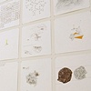 Powers of Ten (detail)