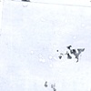 Four by four (individual square)