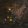 Night (detail)