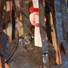 Stardust Staredust Stirdust
Installation view detail