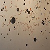 Stardust Staredust Stirdust
Main wall view