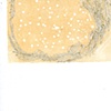 Four by  four (individual square)