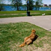 parker waiting