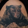 bear