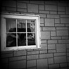 Black and White Film