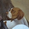 Man's Best Friend