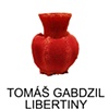Tom&aacute; Gabzdil Libertiny
