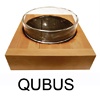 QUBUS