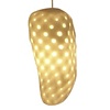 Mylight

Lars Spuybroek

.MGX by Materialise
