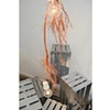 Vanitas suspension light installation

Moss New York

Charlotte Dumoncel D'Argence

