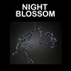 Night Blossom

Tord Boontje

Swarovski Crystal Palace

