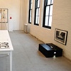 Stylin Viper Coffee Table installation

Moss at the INDEPENDENT Art Fair 2010

Johanna Grawunder