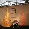 Favela Tree installation

Moss at Design Miami/ 2008

Fernando and Humberto Campana

