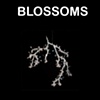 Blossom Chandelier

Tord Boontje

Swarovski Crystal Palace

