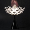 Bloom.MGX Lamp

Patrick Jouin

