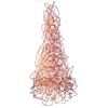 Corallo Tree

Fernando and Humberto Campana

