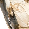 NativoCampana Fossils: Vipera Bowl
detail

Fernando and Humberto Campana

