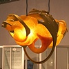 Julia Suspension Light installation

Peter Jansen

.MGX by Materialise

