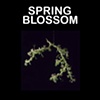 Spring Blossom

Tord Boontje

Swarovski Crystal Palace

