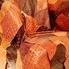 Leatherworks Chair detail

Fernando and Humberto Campana

