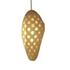 Mylight

Lars Spuybroek

.MGX by Materialise
