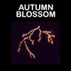 Autumn Blossom

Tord Boontje

Swarovski Crystal Palace

