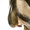NativoCampana Fossils: Vipera Bowl
detail

Fernando and Humberto Campana

