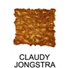 Claudy Jongstra