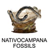 NativoCampana Fossils

Fernando and Humberto Campana

