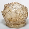 NativoCampana Fossils: Fossils Globe Vase 

Fernando and Humberto Campana

