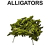 Banquete: Alligators

Fernando and Humberto Campana

