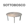 Sottobosco

Andrea Salvetti

