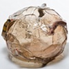 NativoCampana Fossils: Vipera Globe Vase 

Fernando and Humberto Campana

