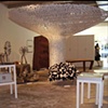 L'Albero installation

Moss at Design Miami/2007

Andrea Salvetti

