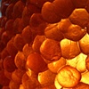 Bee Lamp detail

Gaetano Pesce

