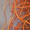 Corallo Tree detail

Fernando and Humberto Campana

