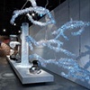 Ice Branch installation

Moss New York

Tord Boonjte

Swarovski Crystal Palace

