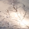 Japanese Blossom Bedcover (grey/white)

Claudy Jongstra


